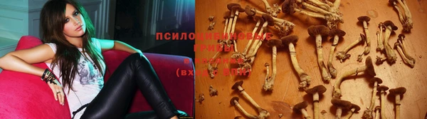 герыч Абаза