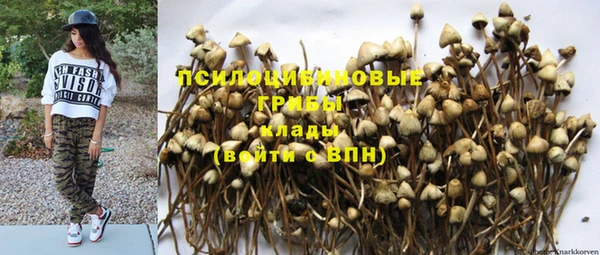 не бодяженный Абдулино