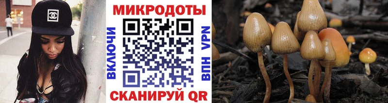 Галлюциногенные грибы прущие грибы Фурманов
